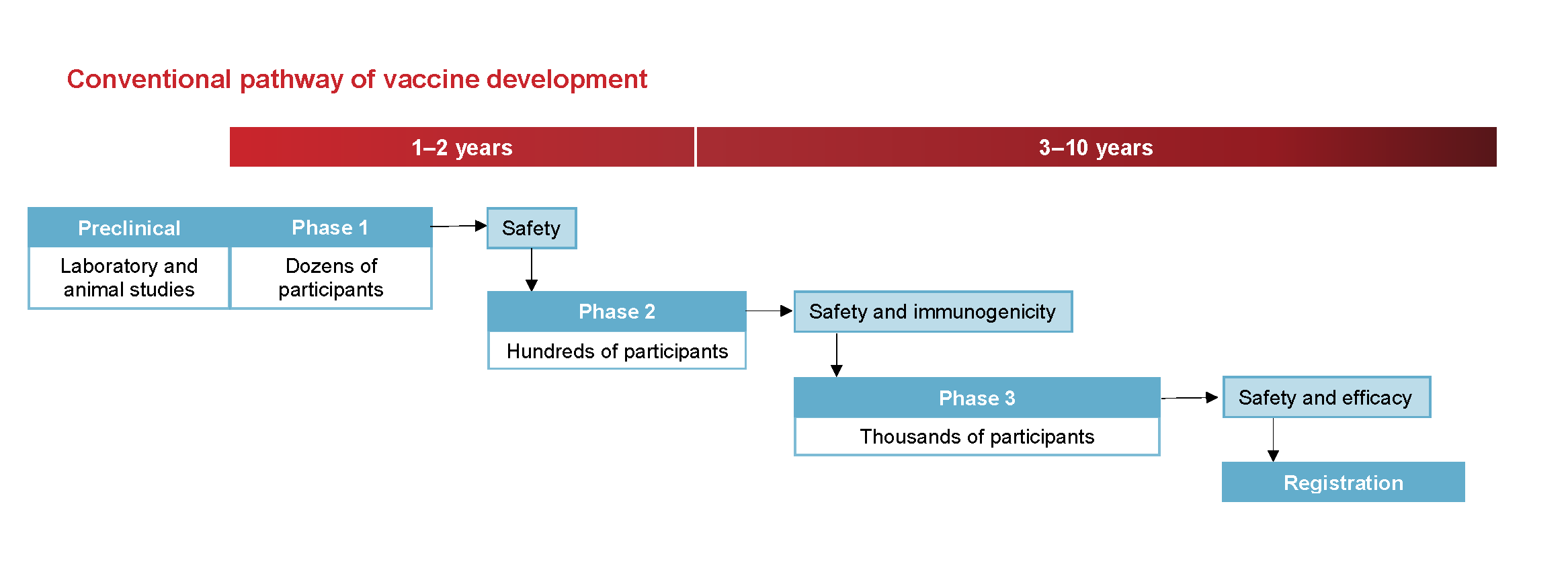 Diagram showing conventional pathway of vaccine development.