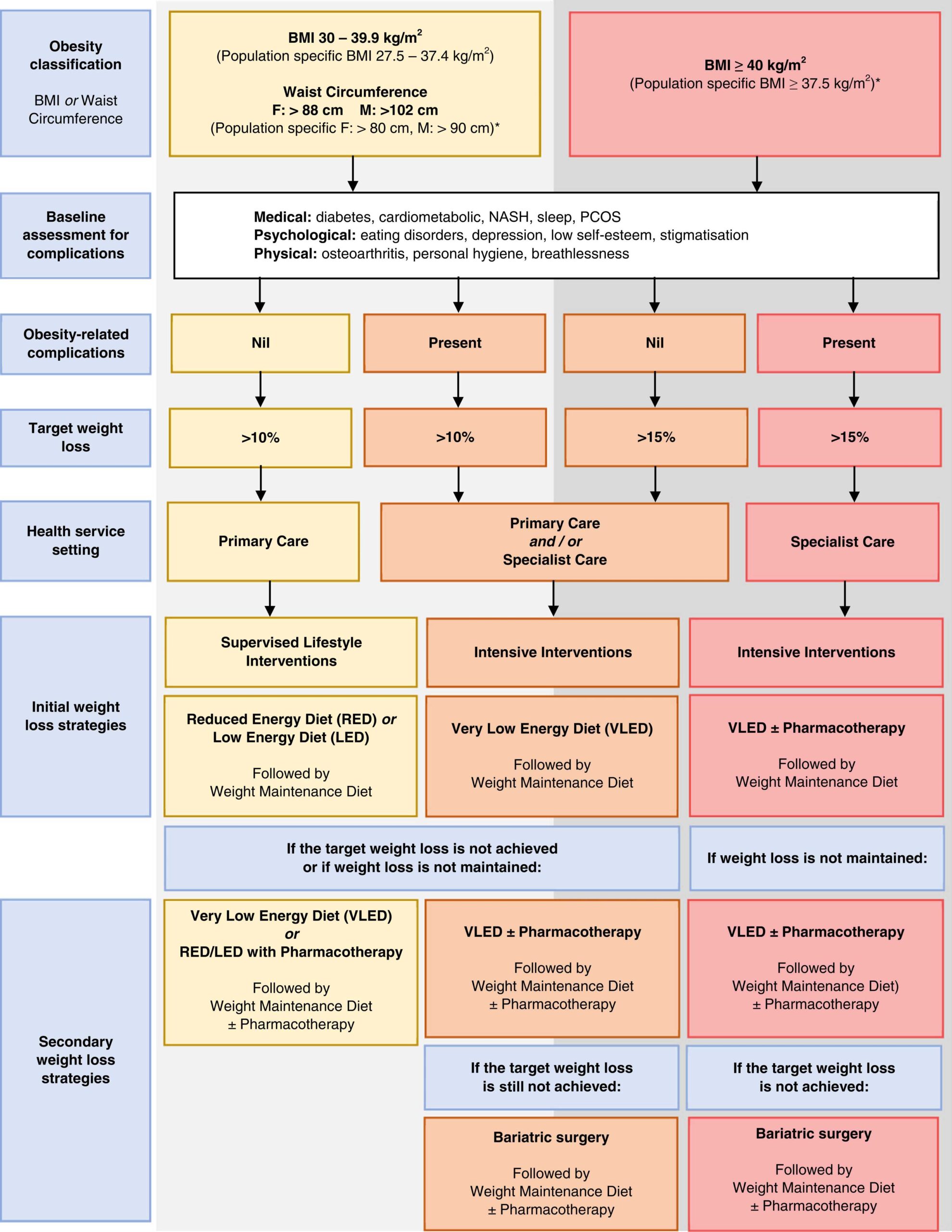 Australian algorithm for the management of obesity