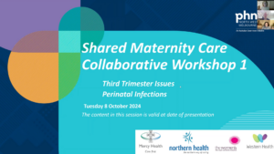 Title screen for shared maternity care workshop