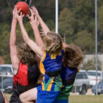 Junior Australian rules footballers jump to mark the ball